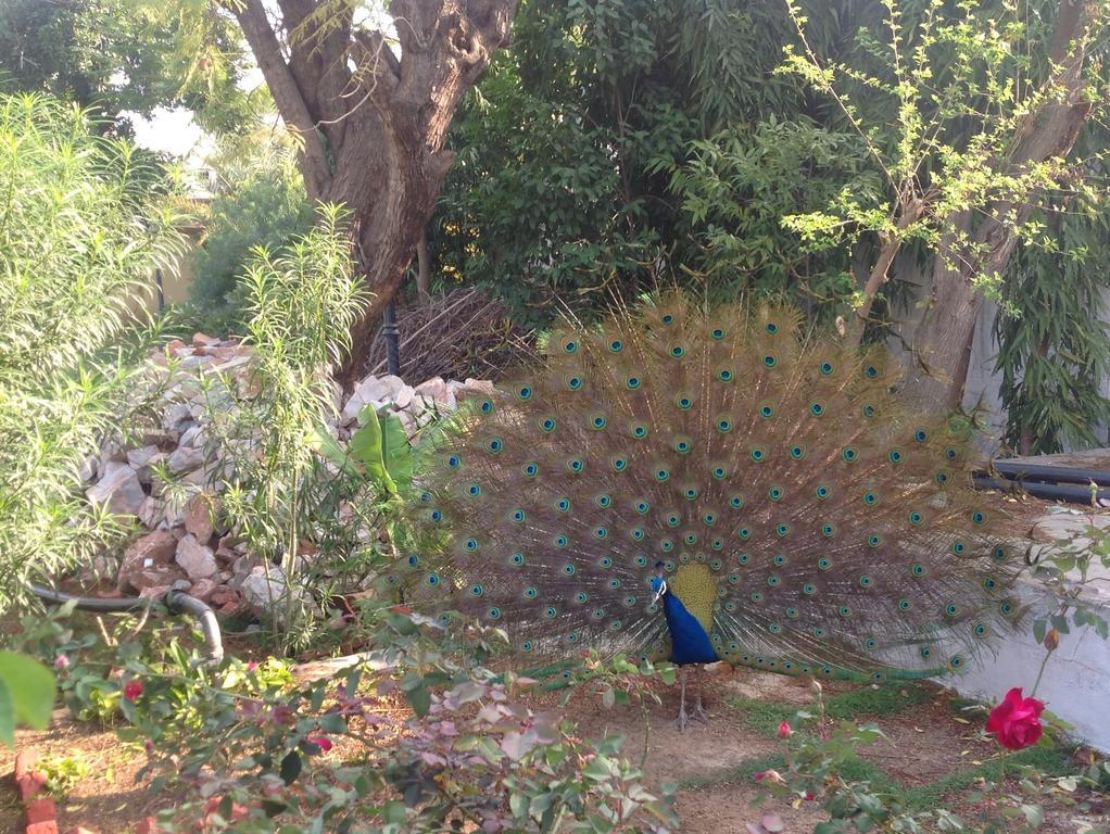 Santha Bagh Kukas Exterior foto